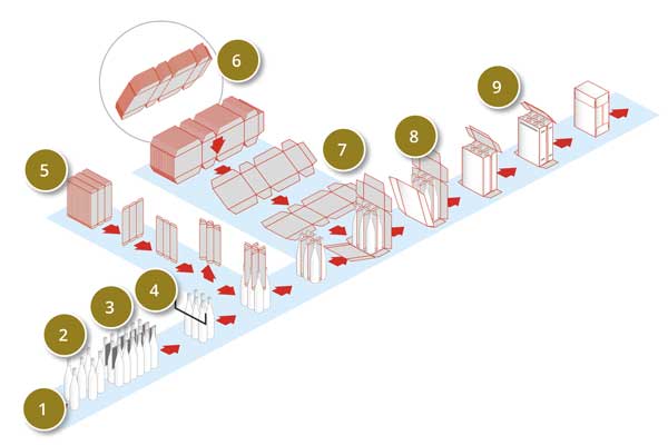 schema-giotto